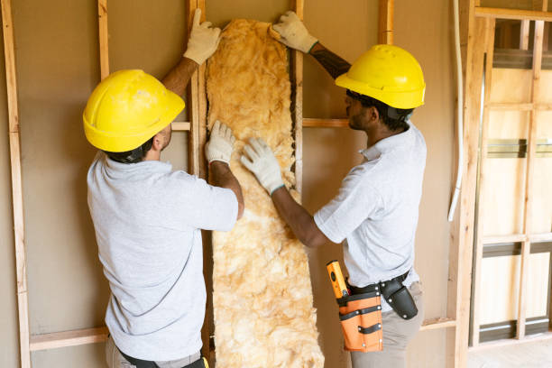 Best Insulation Contractor Near Me  in Iona, ID